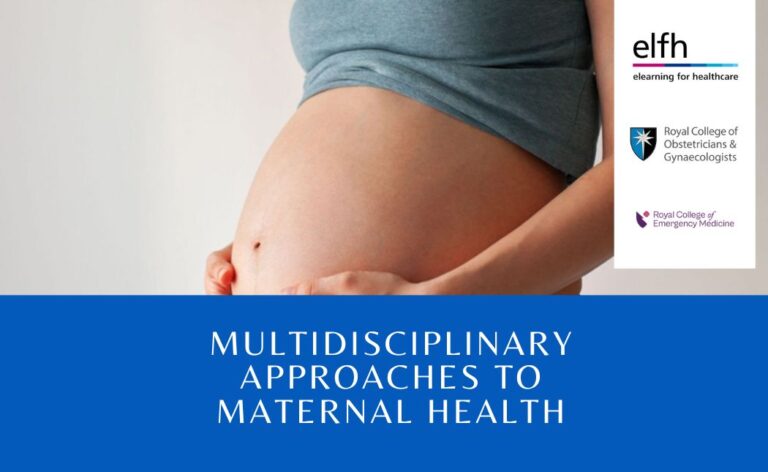 Multidisciplinary Approaches to Maternal Health